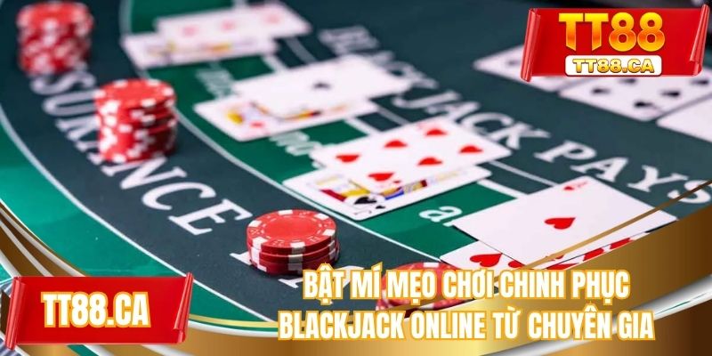 Bật mí mẹo chơi chinh phục blackjack online từ chuyên gia