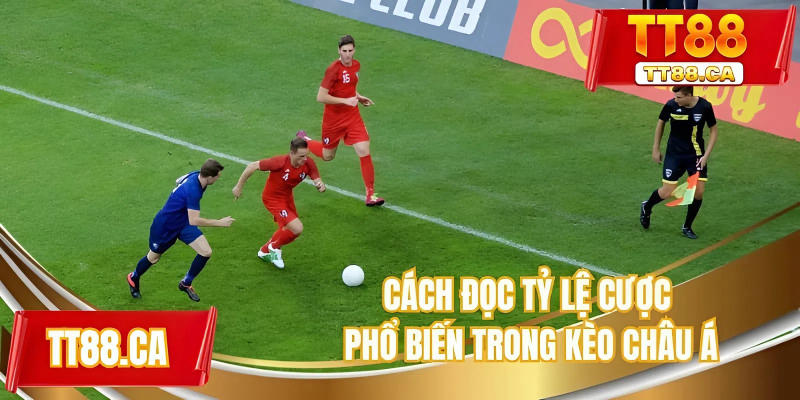 Cách đọc tỷ lệ cược phổ biến trong kèo châu Á