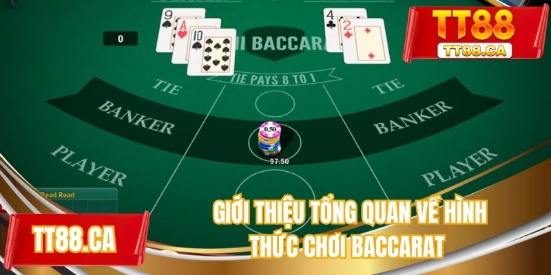 Giới thiệu tổng quan về hình thức chơi baccarat